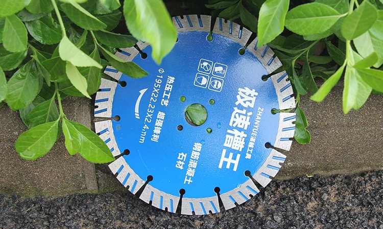 Blue diamond blade displayed beside green leaves